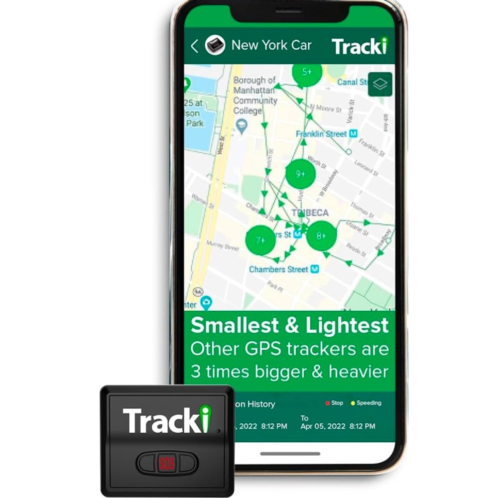 GPS track. Small